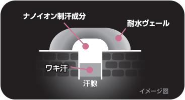 イメージ図